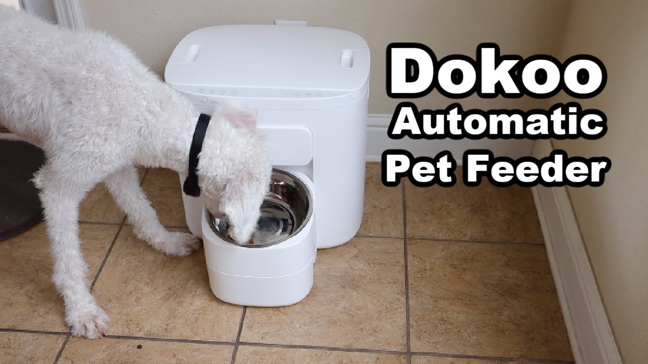 DKU Large Dog Feeder Review: Hands-Free Feeding Solution