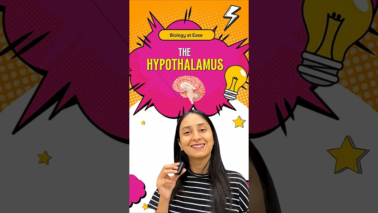 Hypothalamus: Master Regulator of Pituitary Hormones