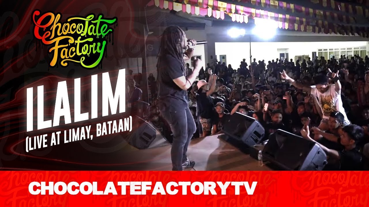 Music Performance Analysis: Artistic Expression & Audience Impact