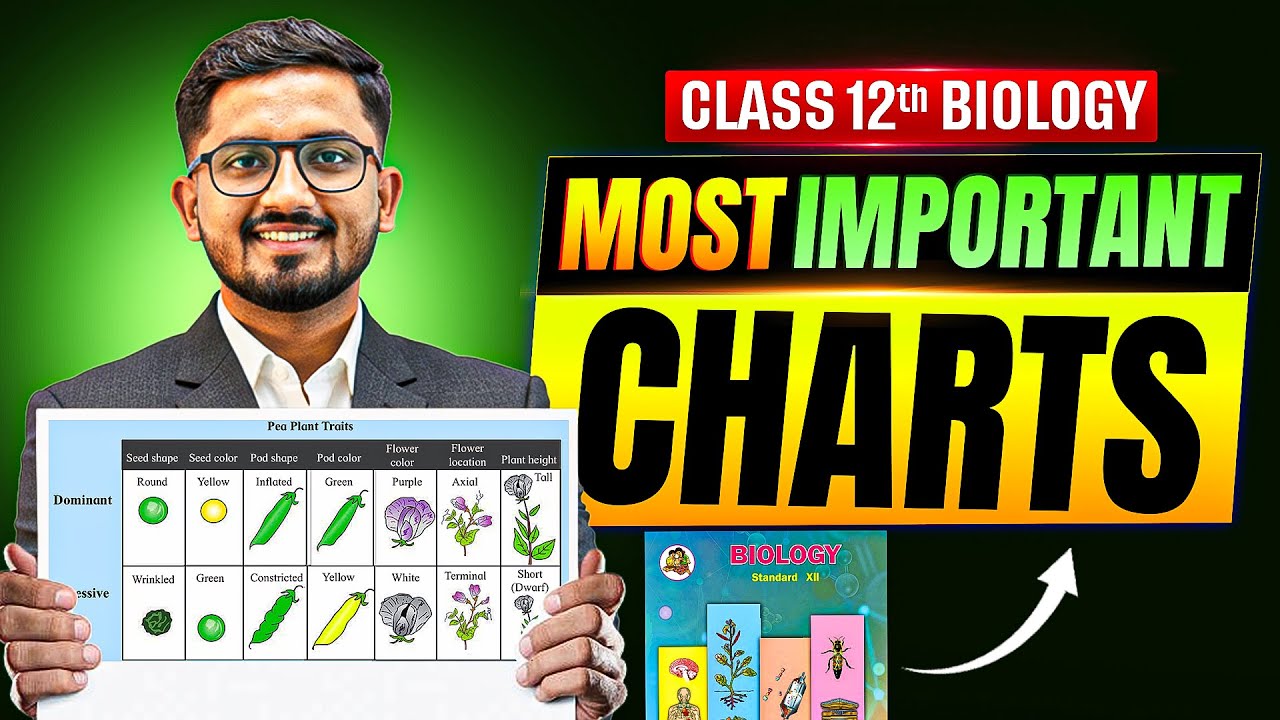 Class 12 Biology Chart Mastery: 70/70 Marks Strategy