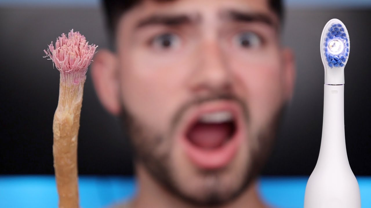 Ancient vs Future Toothbrushes: Surprising Cleaning Results Compared