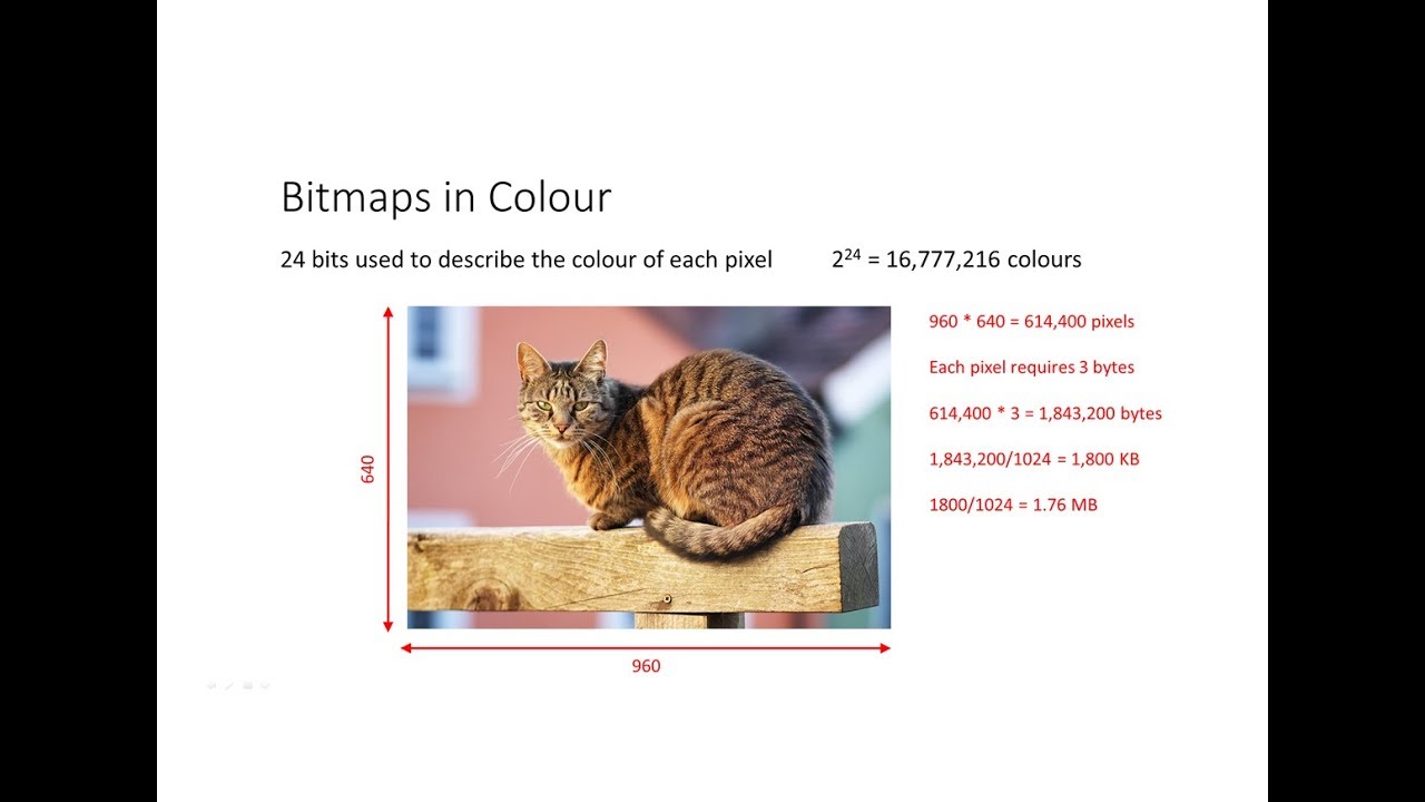 Understanding Bitmap Images: Resolution, Color Depth & File Size