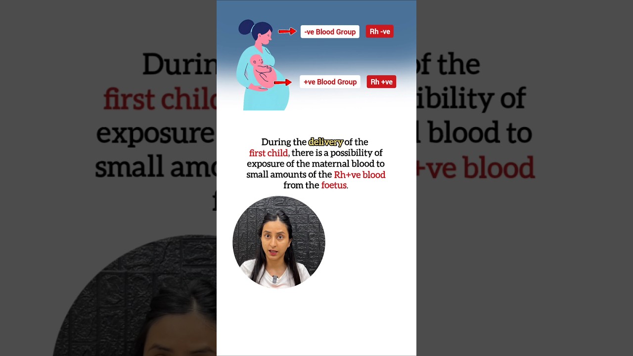 Rh Blood Grouping Explained: Transfusions & Pregnancy Risks