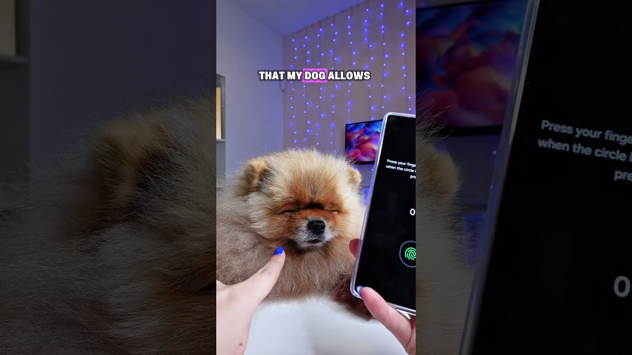 Can You Unlock Your Phone With a Dog's Nose? We Tested It
