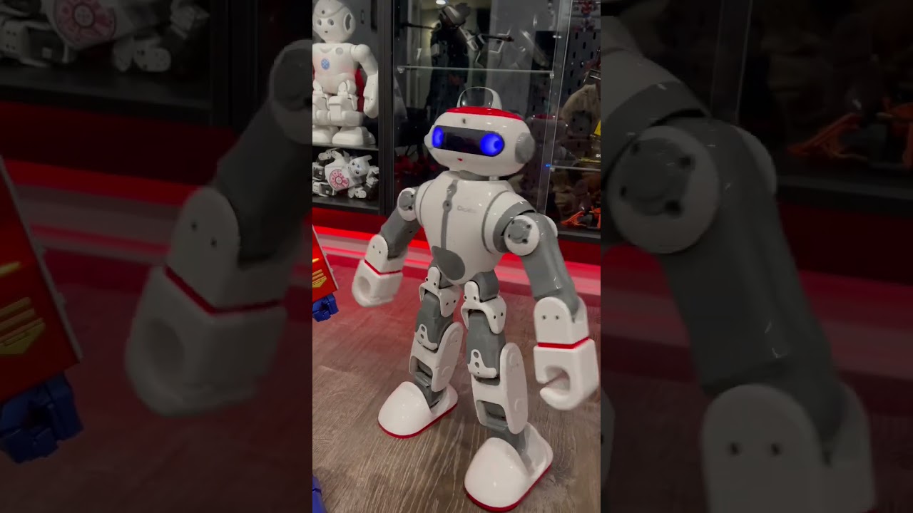 Insufficient Transcript for Content Creation