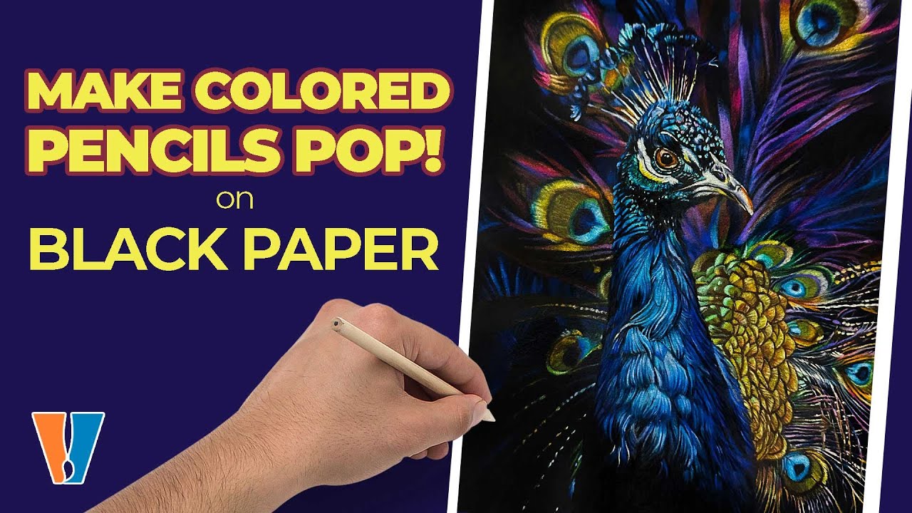Master Peacock Drawing on Black Paper with Colored Pencils