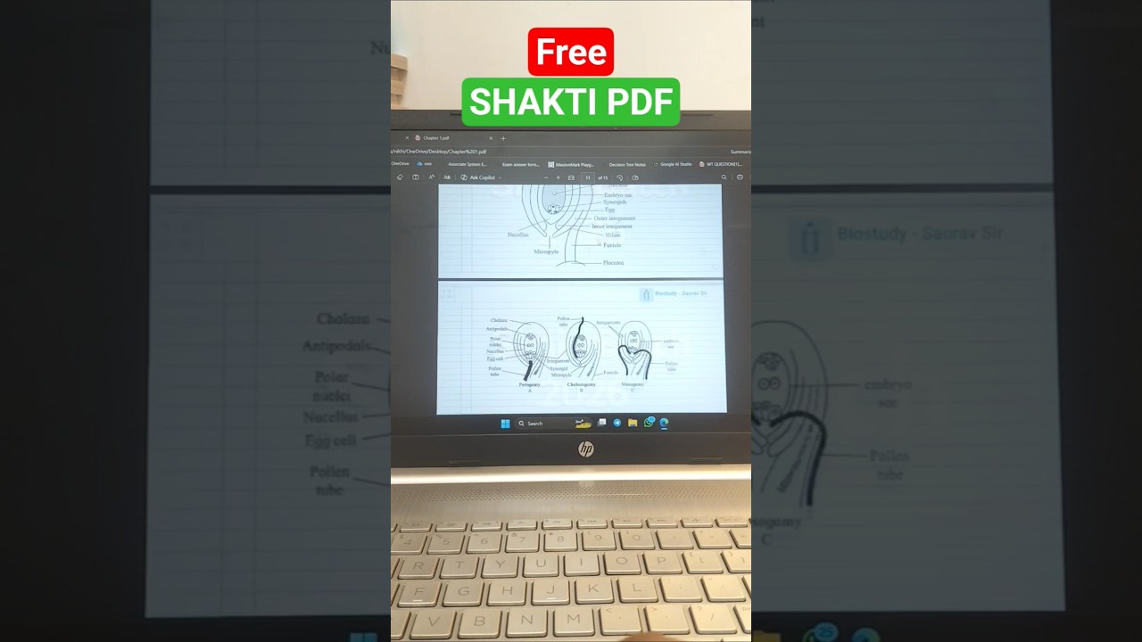 Free Chapter 1 PDF: Key Questions for Exam Success