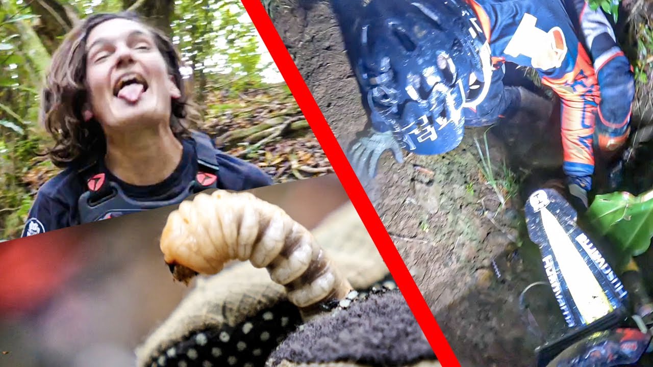 Electric Motocross Night Riding: Essential Guide & Real-World Tips