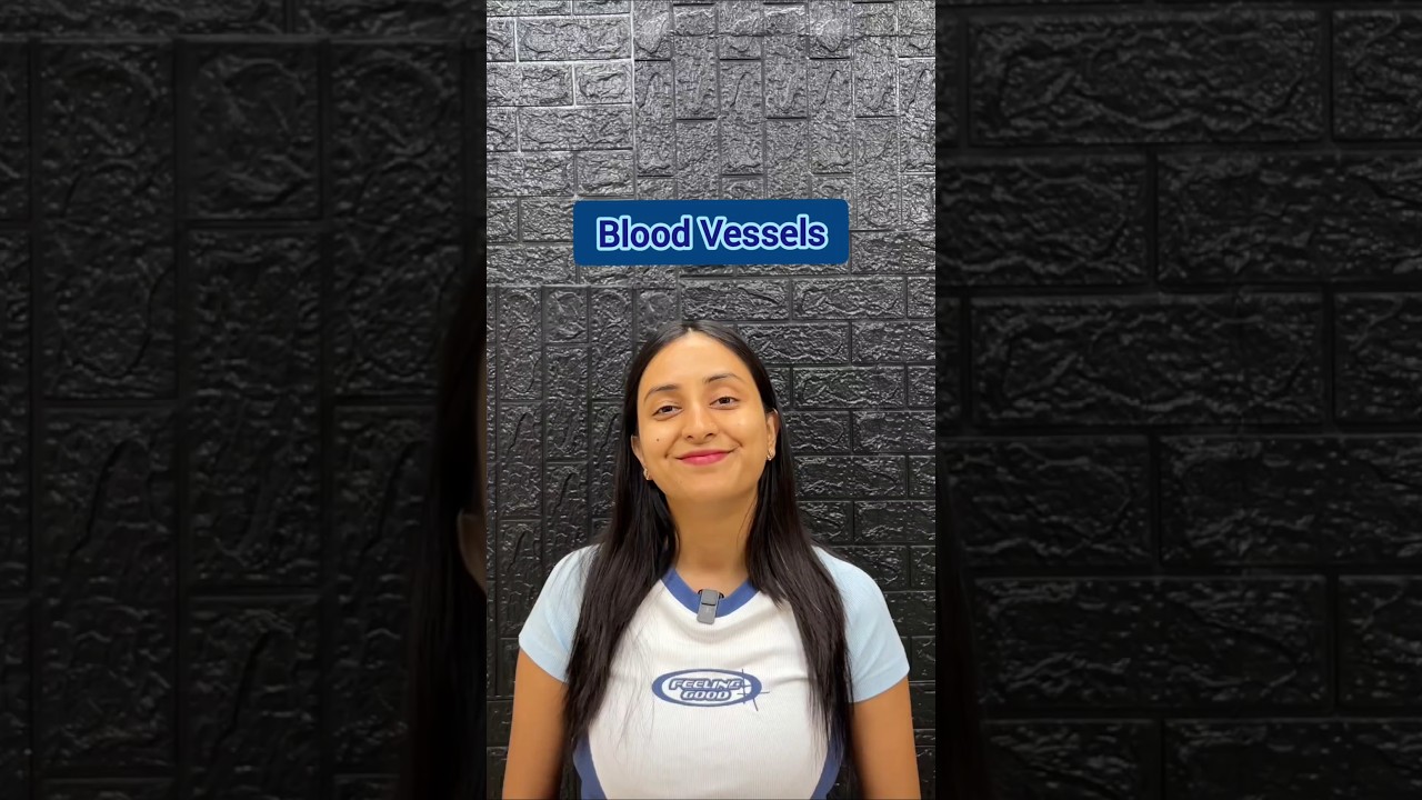 Why Artery Walls Are Thicker Than Veins: Pressure Explained