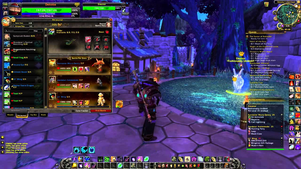 Defeat Eleanor Garrison Pet Battle with Budget Pets