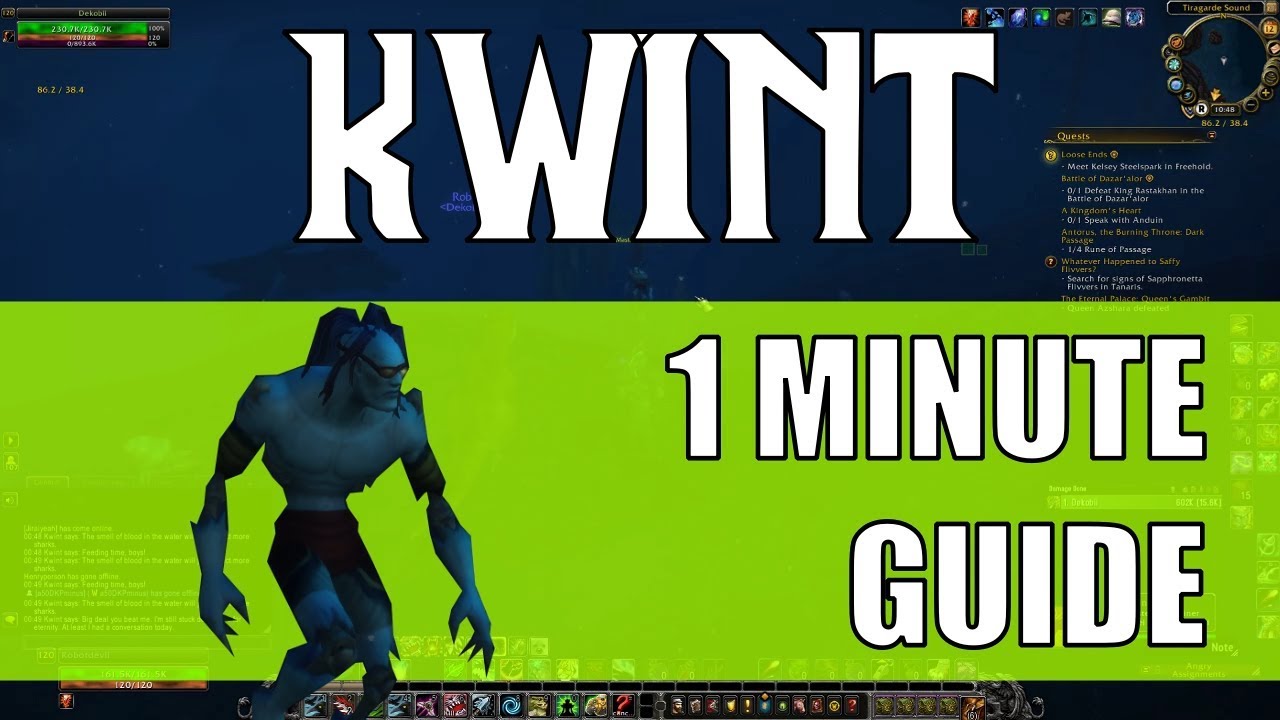 Defeat Quint: Sunreaver Micro-Sentry Pet Battle Strategy