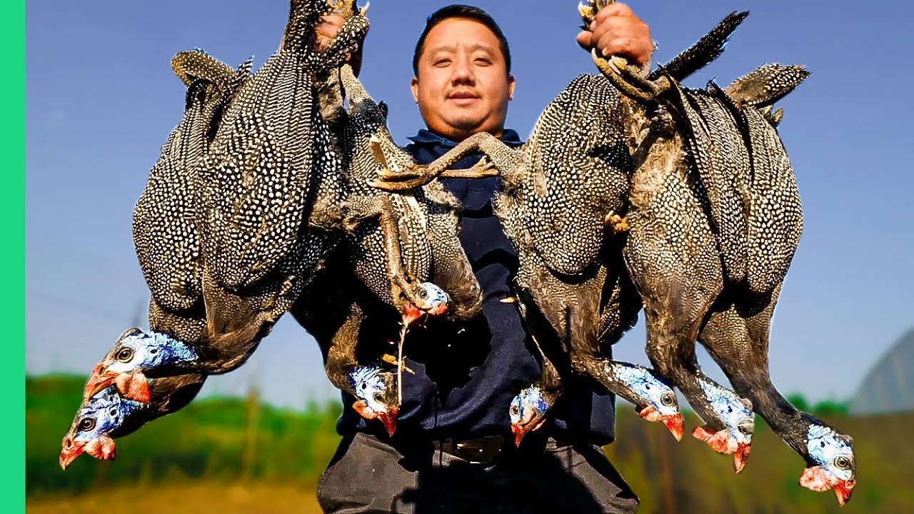 Hmong Food Traditions: Preserving Culture in Wisconsin