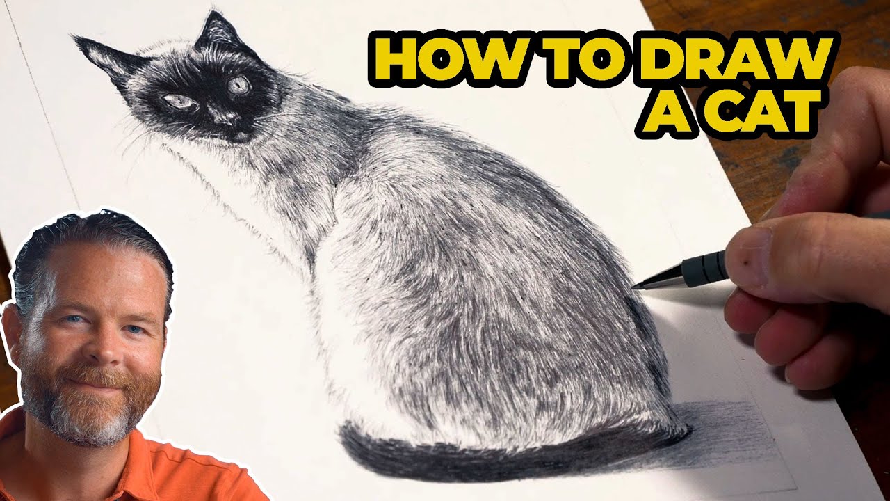 Master Realistic Cat Drawing with Oil-Based Ballpoint Pens