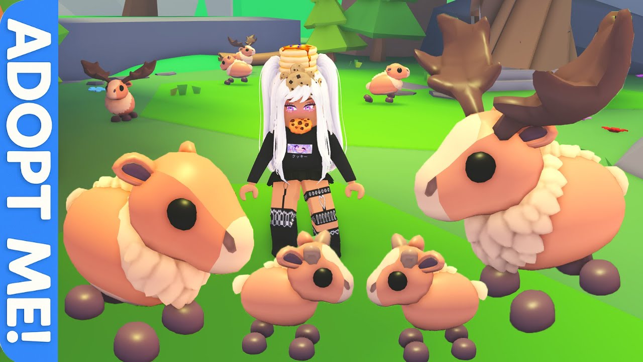 Adopt Me Moose Pets Guide: Rarity, Costs & Obtaining Tips