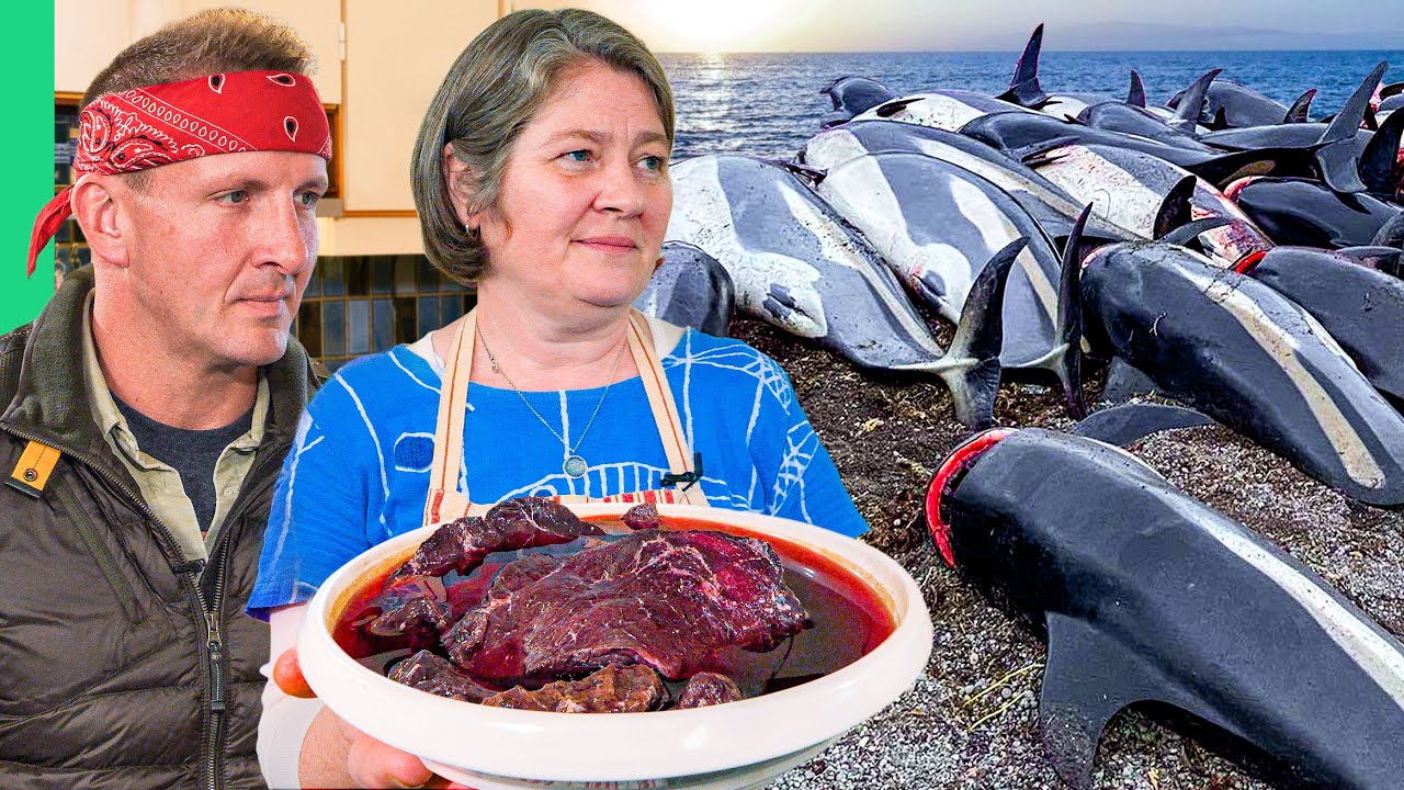 Faroe Islands Whale Tradition: Culture, Sustainability, and Controversy