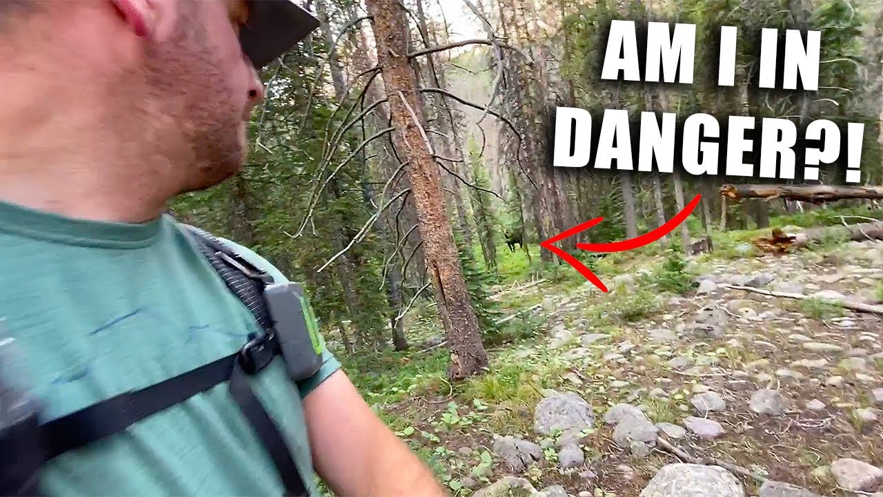 New Backpacker Fears Solved: Expert Guide to Trains, Gear & Sleep