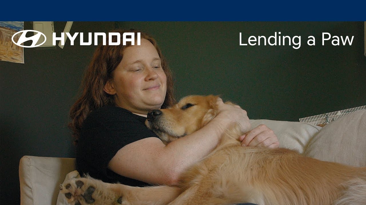 title：How Service Dogs Transform Lives: Stories of Independence & Joy