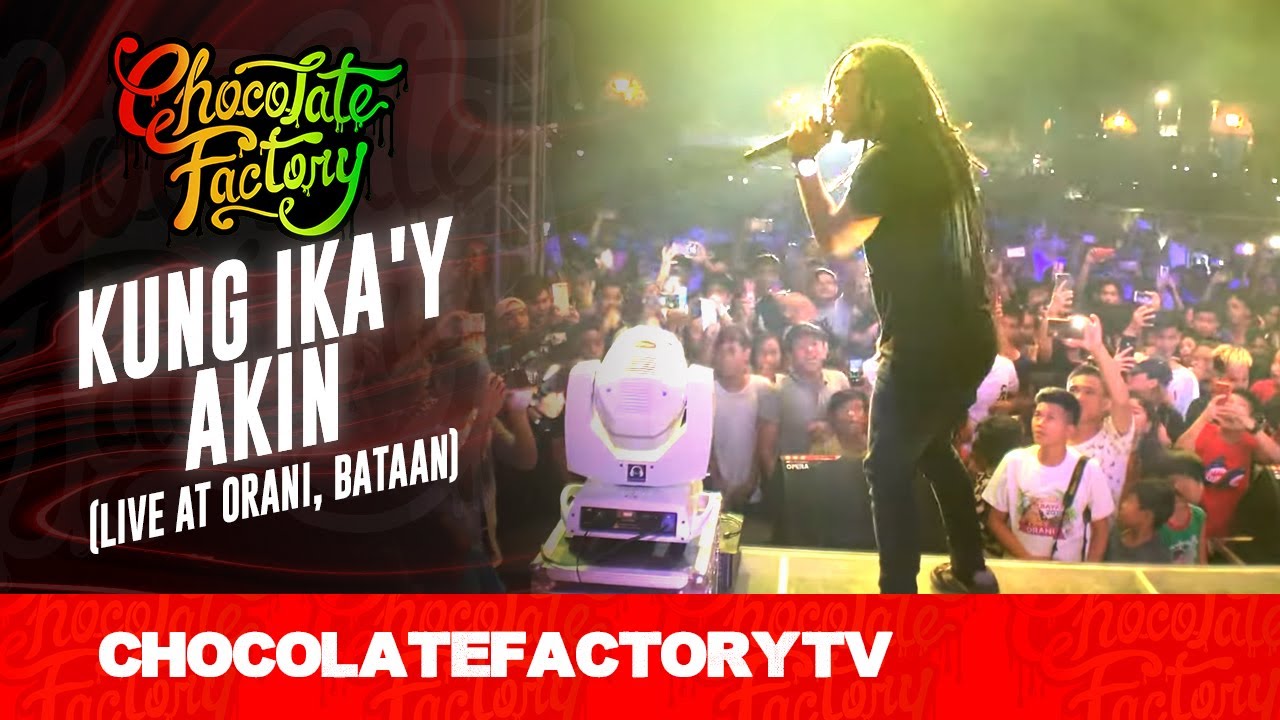 Video Transcript Empty: Solutions & Next Steps Explained