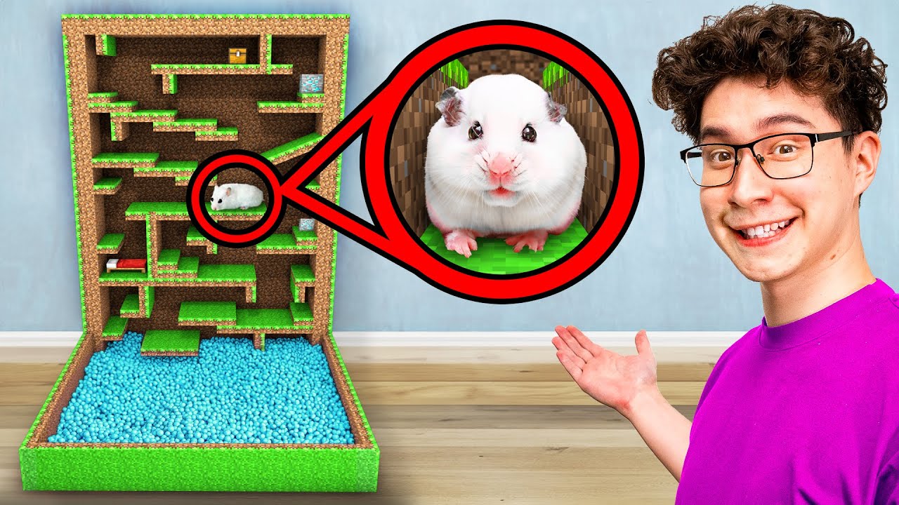 Hamster vs Human: Who Wins Minecraft Maze Challenge?