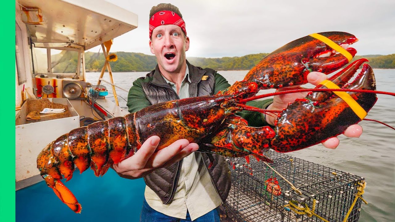 Maine Lobster Fishing: Sustainable Practices & Taste Secrets