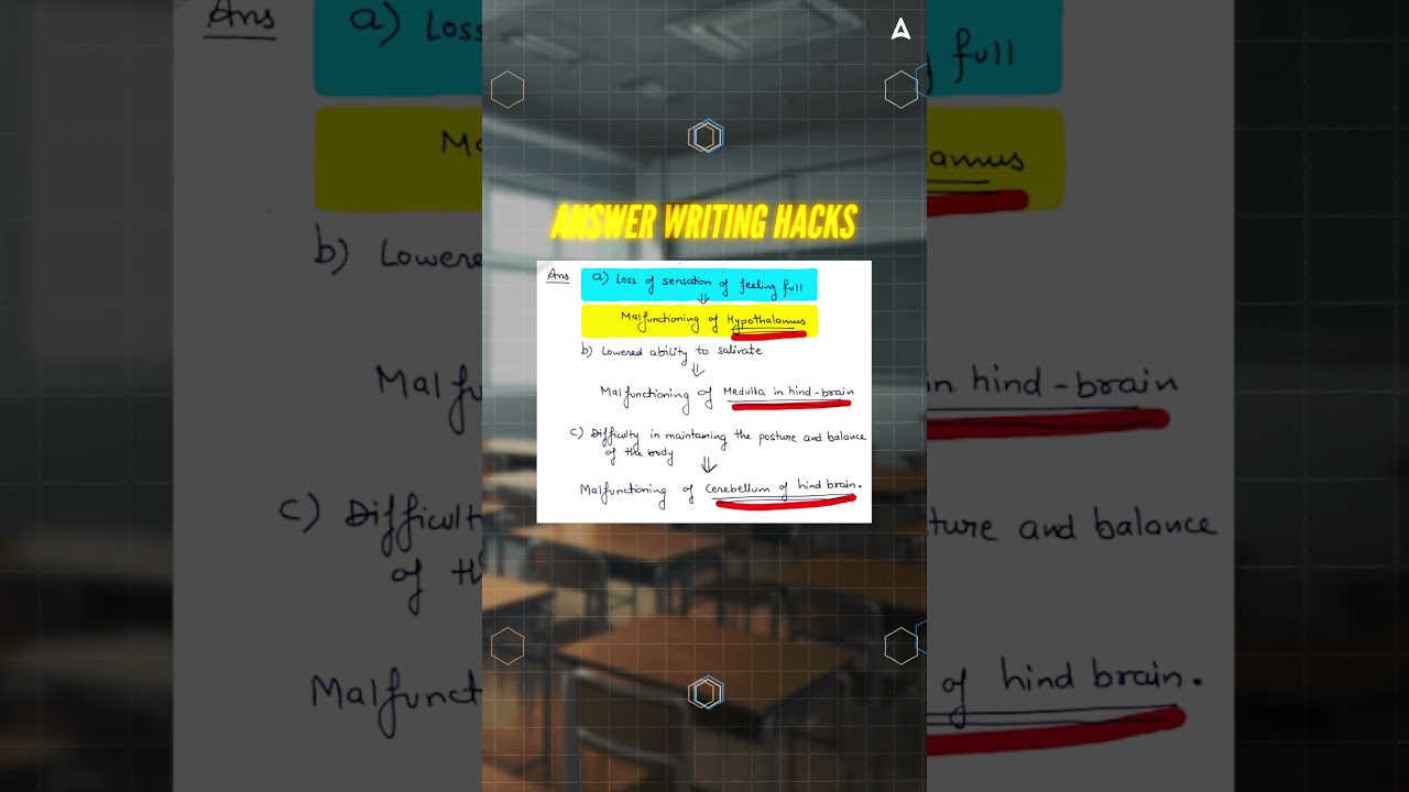 Brain Parts Disorders Explained: Hypothalamus, Medulla, Cerebellum