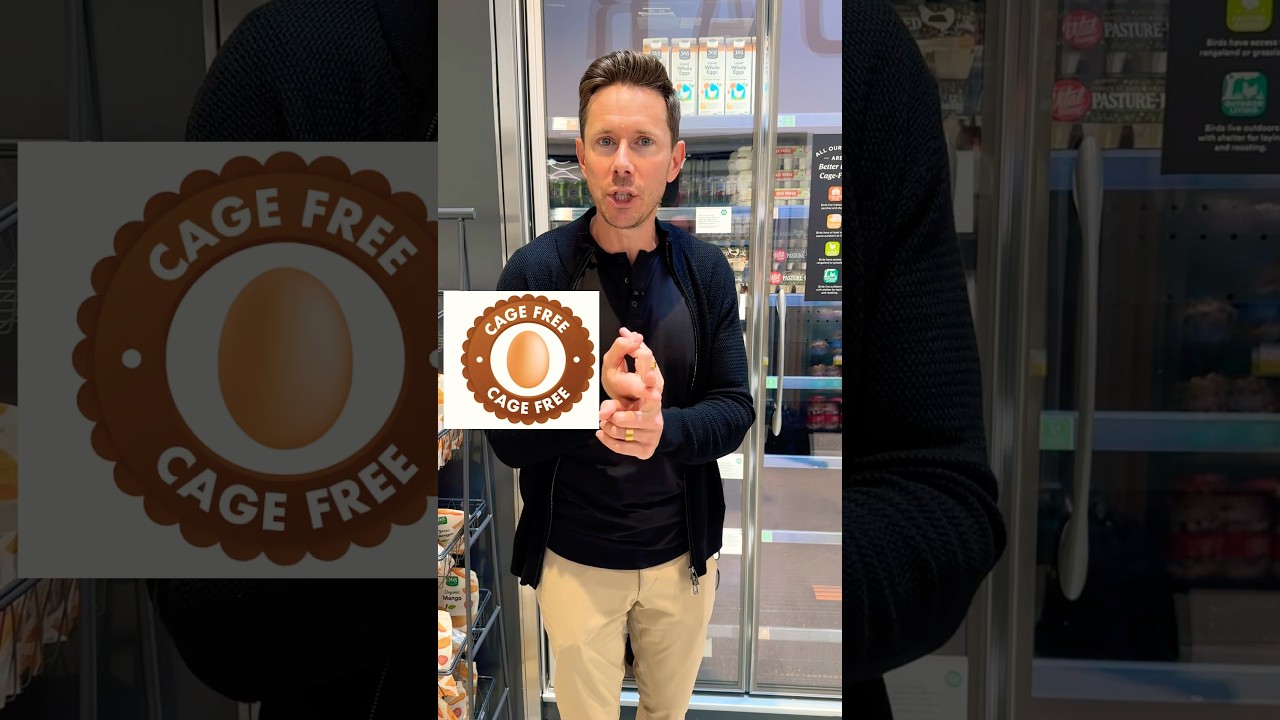 Pasture-Raised Eggs: Why They Outperform Free-Range & Cage-Free