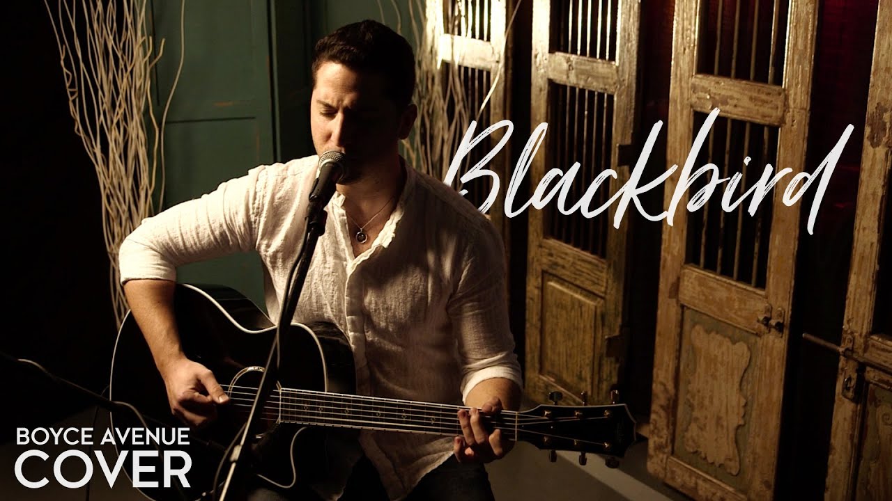 Decoding Blackbird: The Beatles' Hidden Civil Rights Anthem