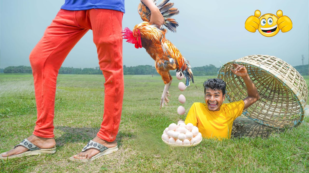 Why Absurd Comedy Goes Viral: Analyzing Chaotic Humor