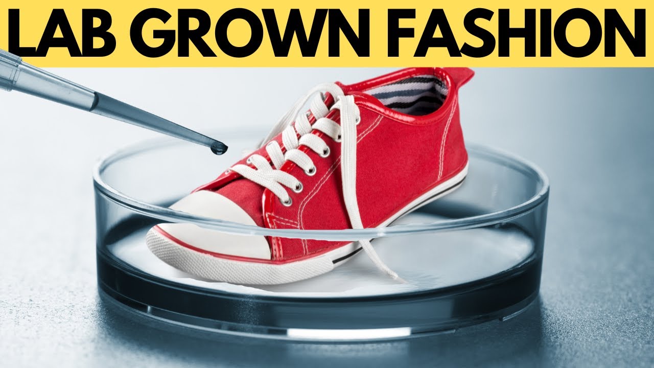 Bacterial Cellulose Shoes: Sustainable Future of Footwear?