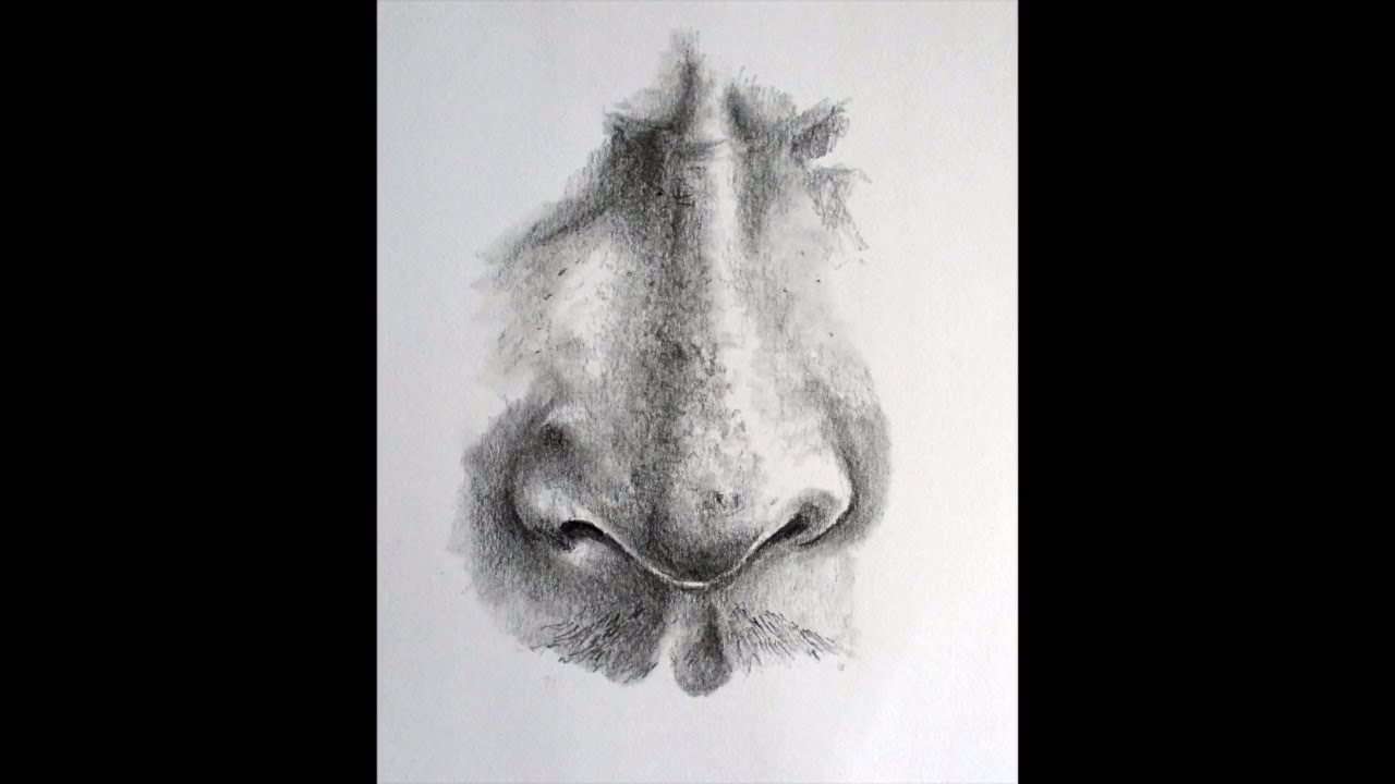 How to Draw a Realistic Nose: Step-by-Step Guide