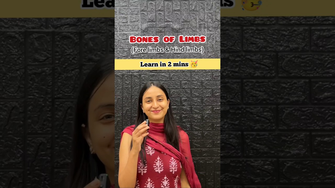 Master Human Limb Bones with Proven Memorization Tricks
