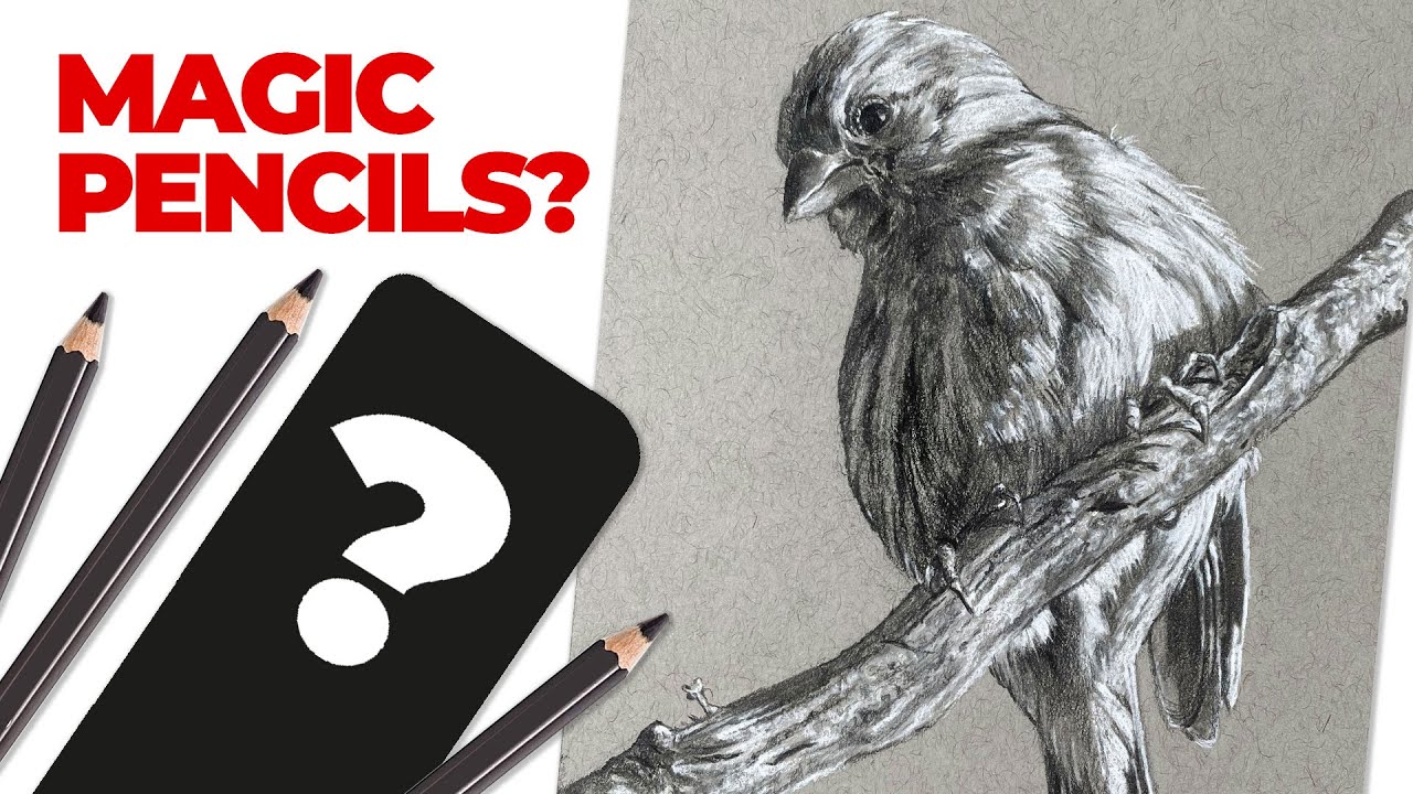 Solve Graphite Shine: Staedtler Black Pencils Review & Tutorial