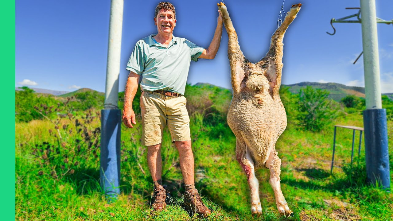 Afrikaner Sheep Cuisine: South Africa's Unique Farm-to-Fire Feast