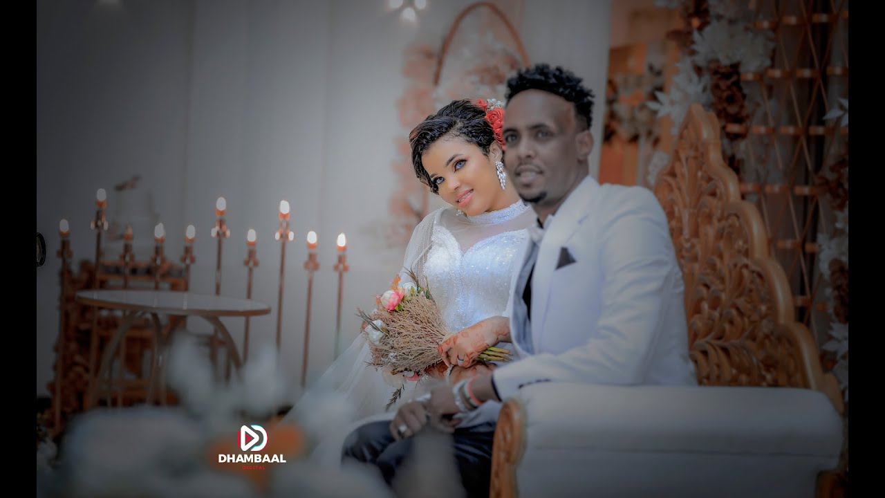 Content Creation Assistance Needed