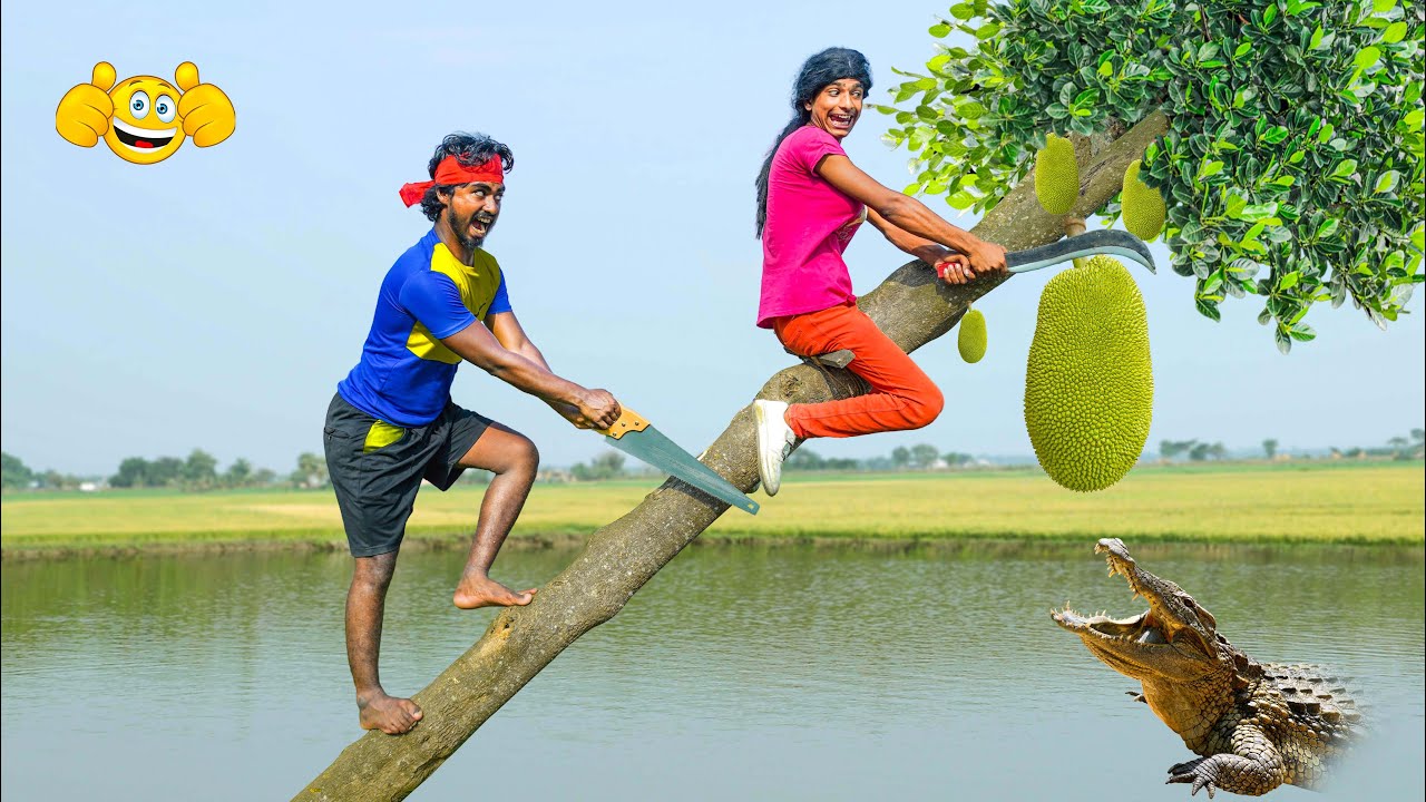 Decoding Physical Comedy in Chaotic Scenes