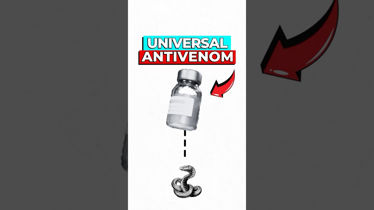 Universal Snake Antivenom Breakthrough: How Self-Immunization Works