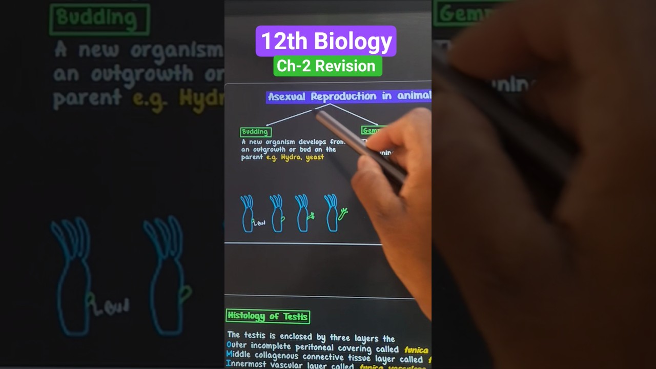 Animal Reproduction: Complete Systems & Processes Explained