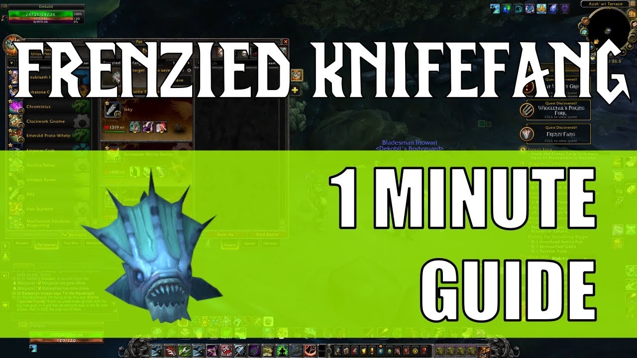 Frenzied Knifefang Pet Battle Guide: Quick Win Strategy