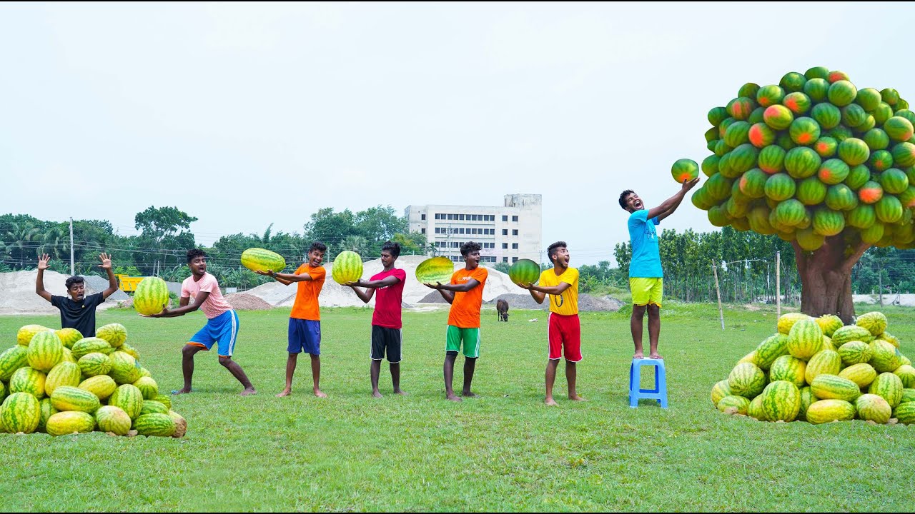 Unusable Transcript: How to Handle Video Content Without Dialogue