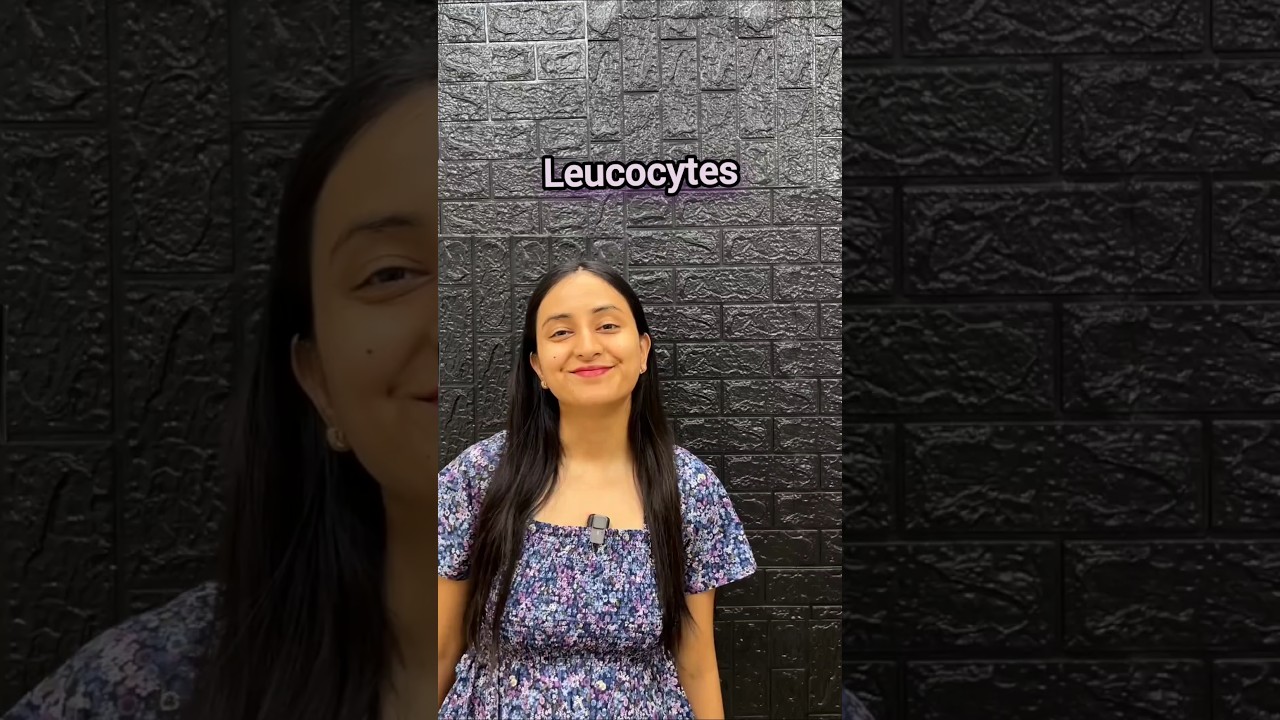 Understanding White Blood Cells: Types and Key Functions