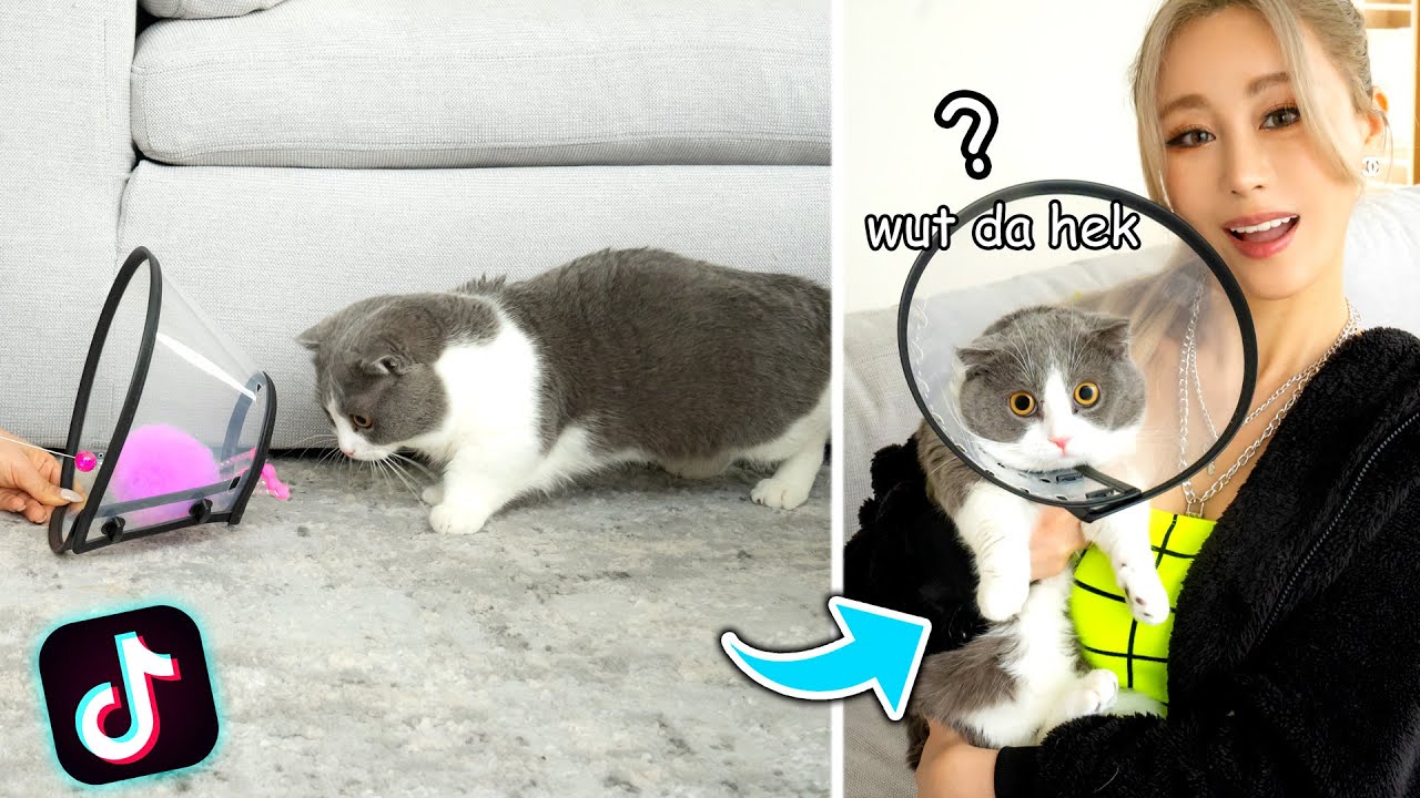 TikTok Life Hacks Tested: What Actually Works?