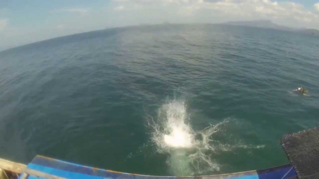 Empty Video Transcript: Solutions & Next Steps