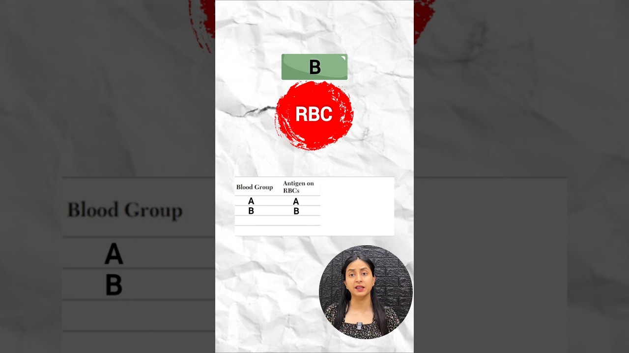 Blood Types Explained: Antigens, Antibodies & Transfusion Compatibility