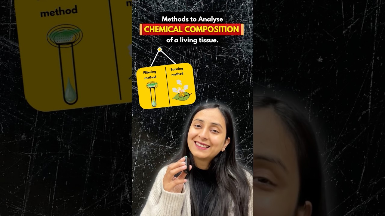 Biomolecule Analysis: Filtering vs Burning Methods Explained