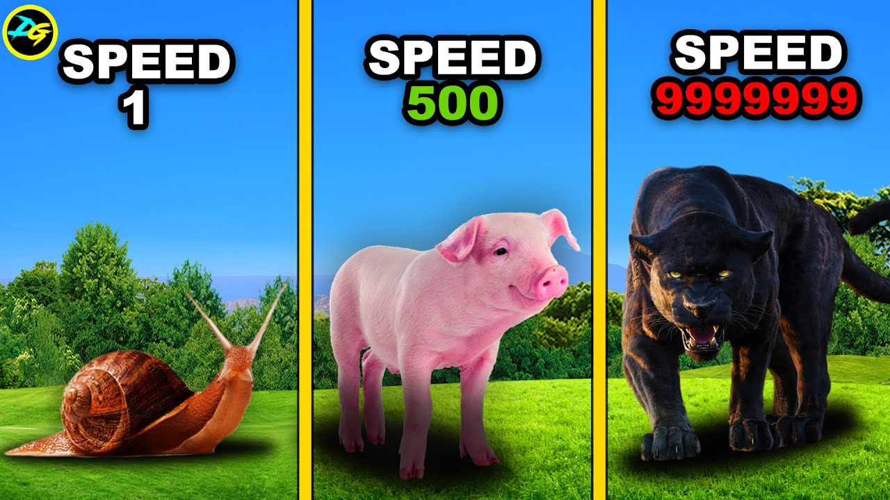 Animal Speed Tiers in Gaming: From 3km/h to 50km/h Mastery