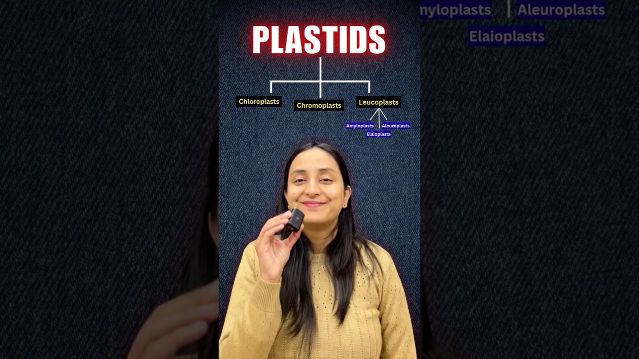 Plant Plastids: Types, Functions & Pigments Explained