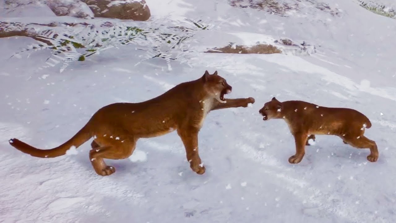 Planet Zoo Animal Care Guide: Habitat Tips & Breeding Strategies