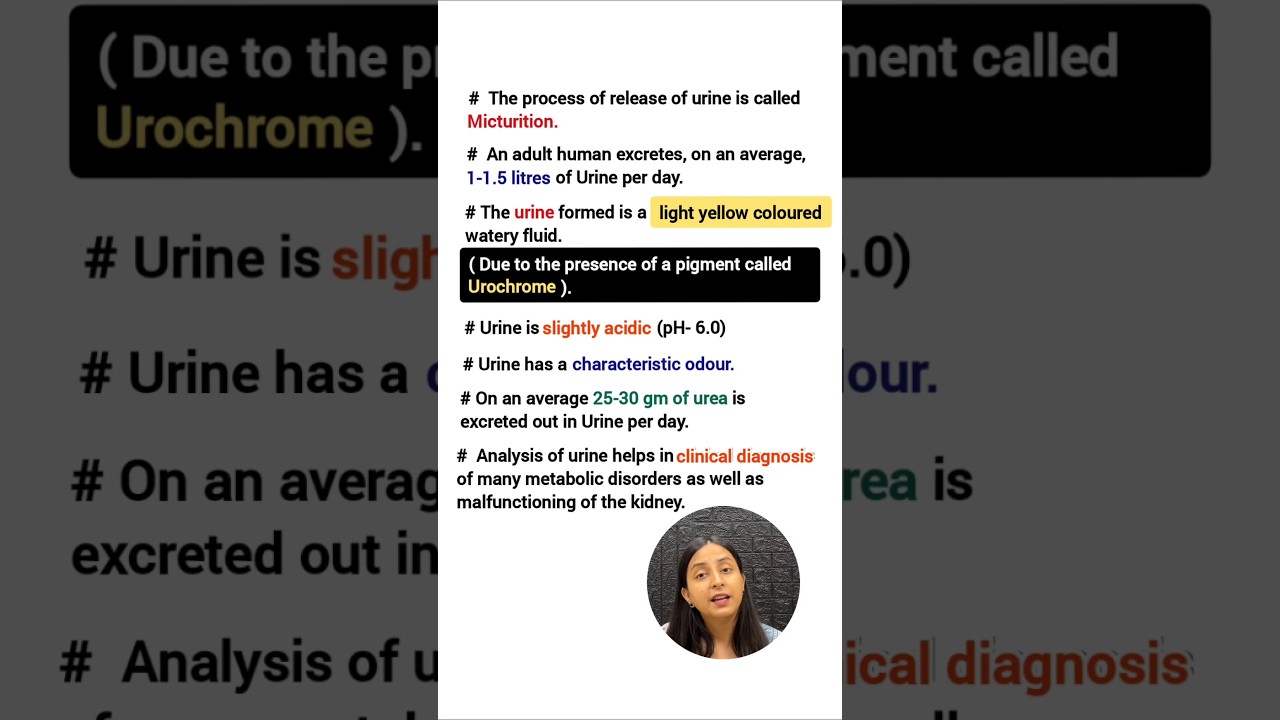 NCERT Biology Human Urine Analysis: Key Insights & Diagnostic Importance