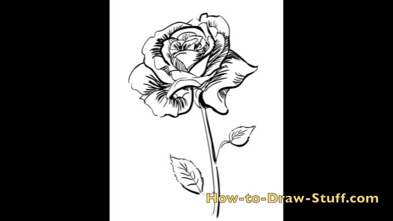 How to Draw a Realistic Rose: Step-by-Step Guide for Beginners