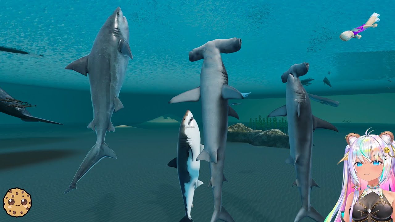 Top 5 Shark Games in Roblox: Ultimate Fan Experience Guide